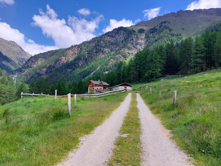 Agriturismo Malga Pontevecchio - Pejo