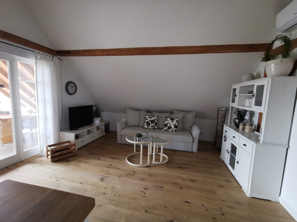 Во удобниот кауч на спуштање може да се сместат уште 2 лица 