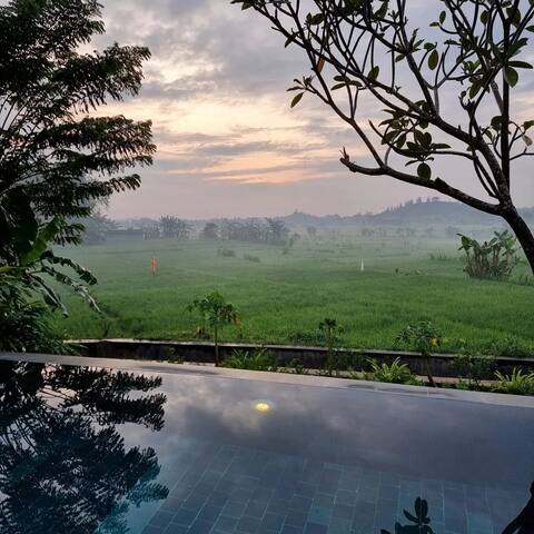 Villa Magnolia With A Private Infinity Pool