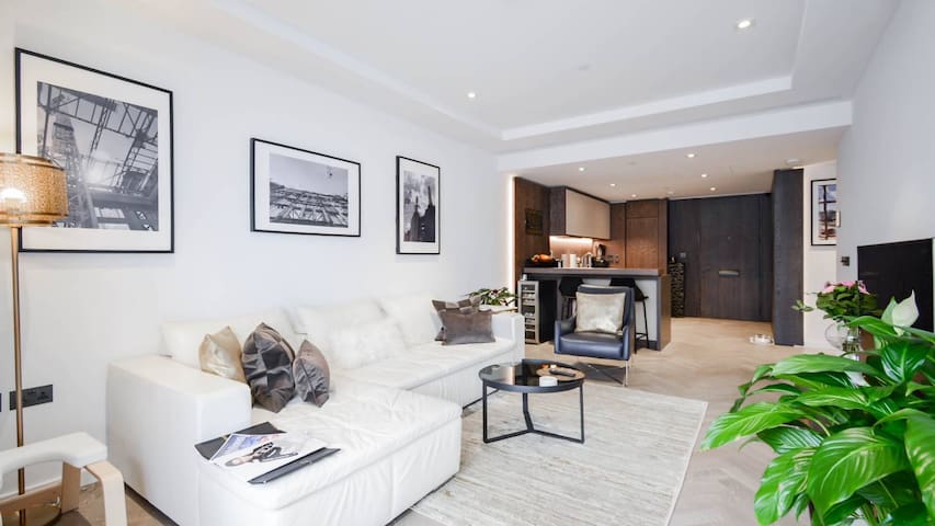 Luxury Central Designer Apt River & Big Ben View gallery image 2