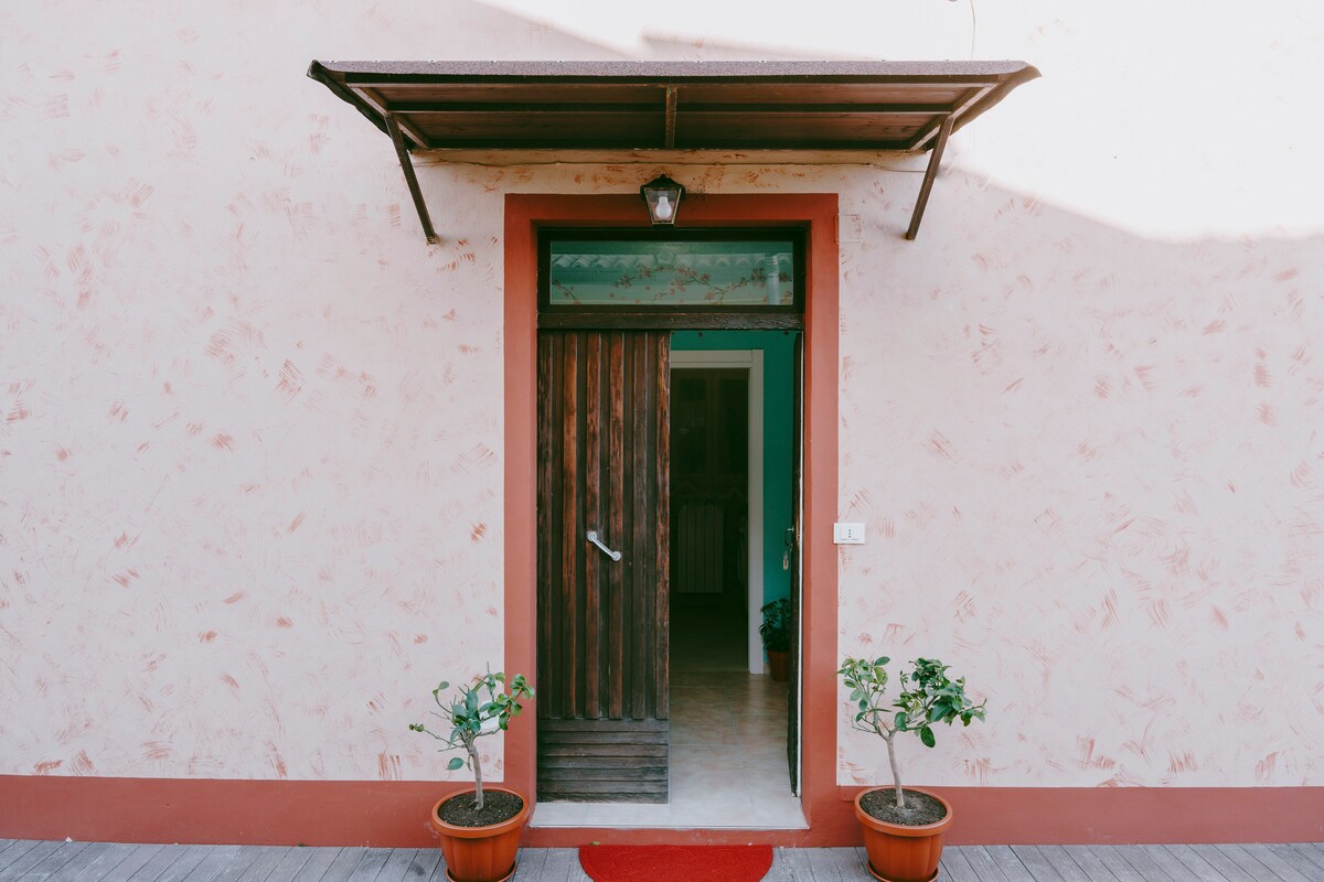 A simple entrance features a wooden door framed by green and pink walls. Two potted plants are positioned on either side of the entrance, adding a touch of greenery. A small overhang provides shelter, emphasizing the welcoming nature of the space.