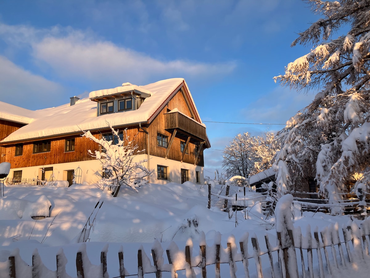 The exterior of a traditional alpine building is surrounded by fresh snow, with a sloping roof that holds a thick layer of white. Sunlight enhances the warm wooden accents. A rustic wooden fence borders the front, creating a charming winter landscape.