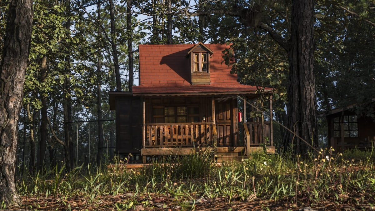 A charming wooden cabin is nestled among trees, featuring a slanted red roof and a small front porch with wooden railings. Surrounding greenery includes grass and wildflowers, finishing a natural and rustic setting.