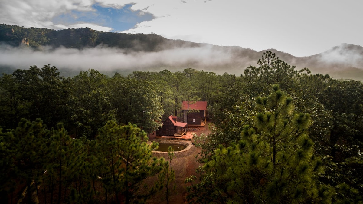 An aerial view captures a cabin nestled among lush greenery, surrounded by tall pine trees. Rolling mist envelops the landscape, and a small pond is visible in front of the cabin, adding to the serene natural setting.
