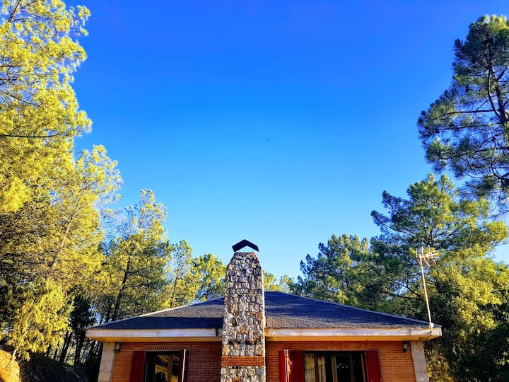 La casa entre pinos bajo un cielo azul: refugio rural en plena naturaleza.