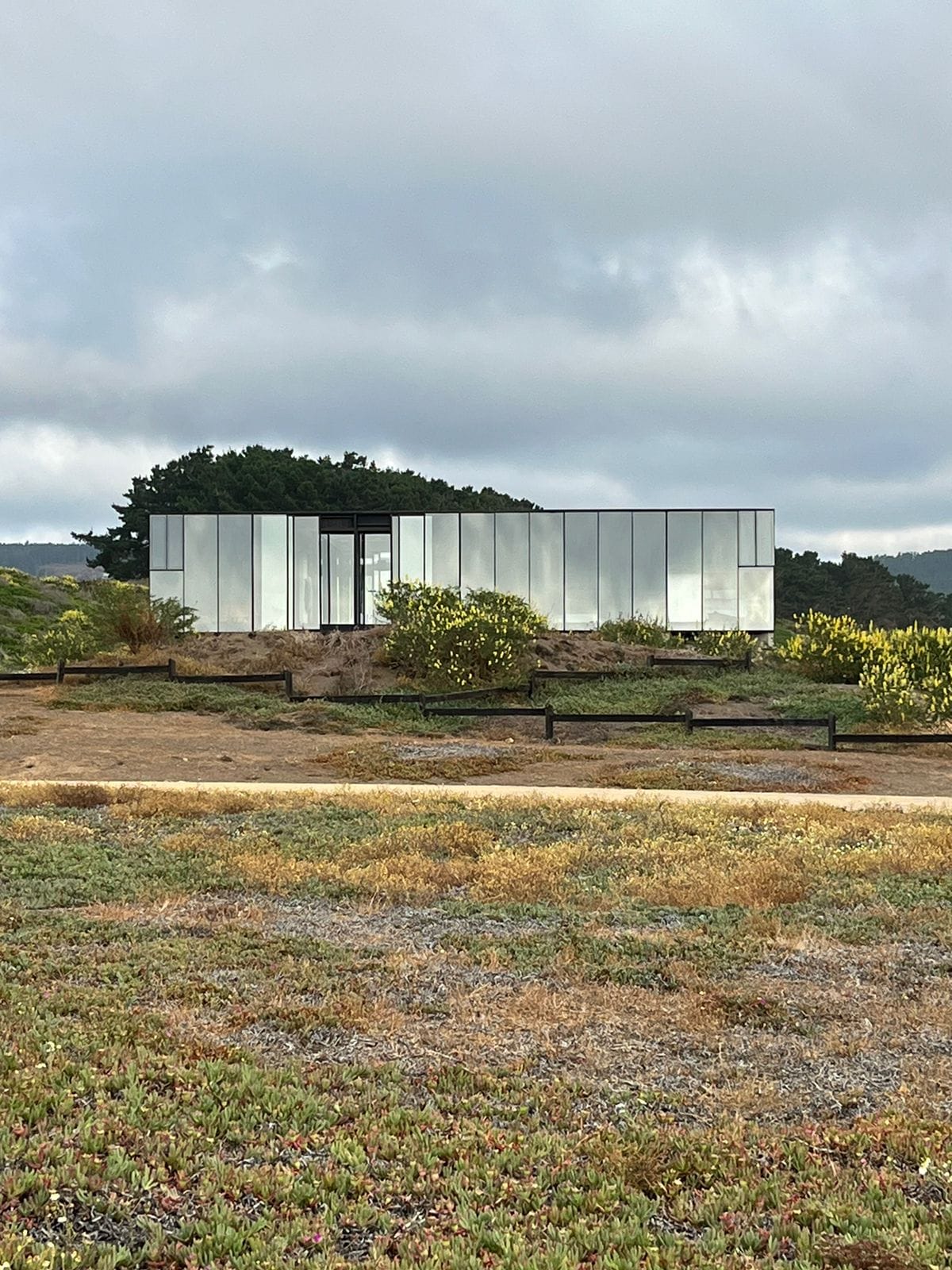A modern building with reflective glass walls is set amidst a natural landscape. Surrounding vegetation includes yellow flowers and green shrubbery. The structure is framed by a rustic wooden fence, blending harmoniously with the environment under a cloudy sky.