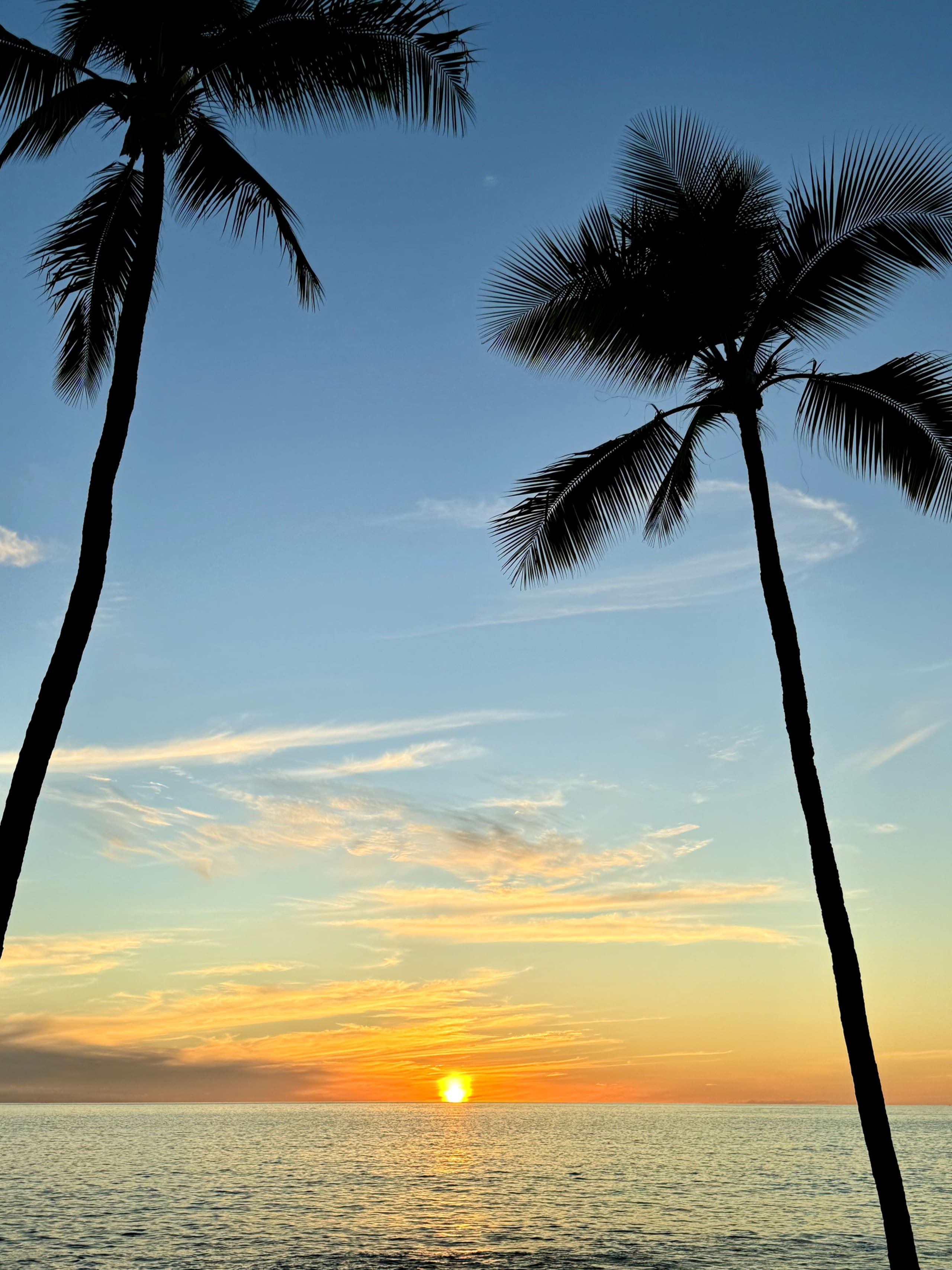 Condo in Kailua-Kona · ★4.95 · 1 bedroom · 1 bed · 1 bath - Image 53