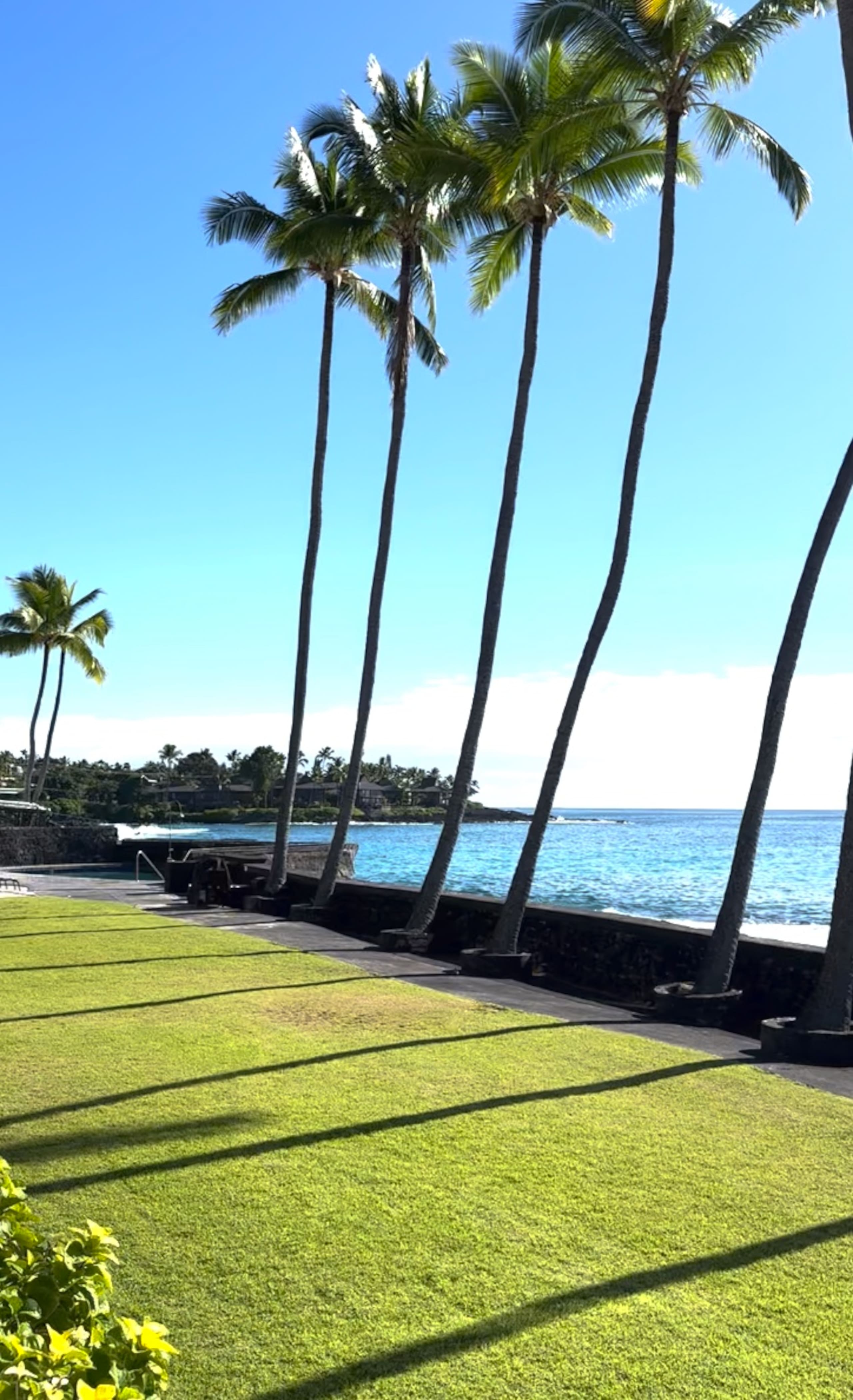 Condo in Kailua-Kona · ★4.95 · 1 bedroom · 1 bed · 1 bath - Image 46