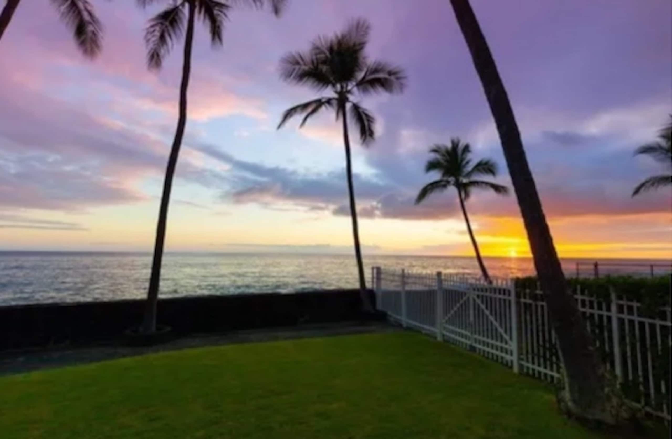 Condo in Kailua-Kona · ★4.95 · 1 bedroom · 1 bed · 1 bath - Image 50