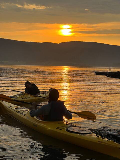Cozy house at the beach - Holmsbu, kayak SUP boat