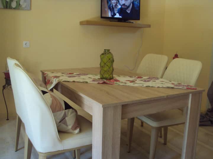 Roula's Studio Is Close To Dassia And Ipsos - Korfu