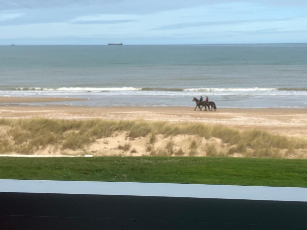 A serene view of the beach reveals two riders on horseback trotting along the shoreline. Gentle waves lap at the sand while a distant ship floats on the horizon, contributing to the tranquil coastal scene.