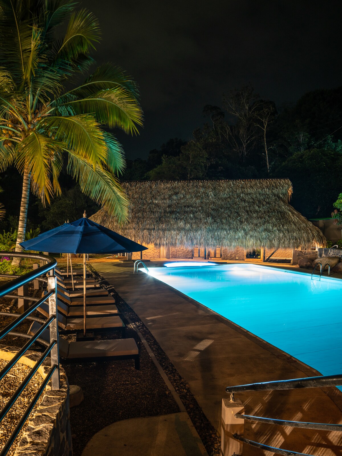 A pool area is illuminated at night, featuring a tropical palm tree beside a thatched roof structure. Lounge chairs line the pool, with an umbrella providing shade. The water reflects a calming blue hue, creating a serene atmosphere.