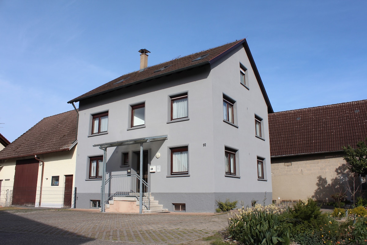 A two-story house is depicted with a light grey exterior and dark brown windows. The entrance is framed by a metal awning, leading to a set of stairs. Surrounding greenery includes plants and a small garden area, contributing to an inviting front view.