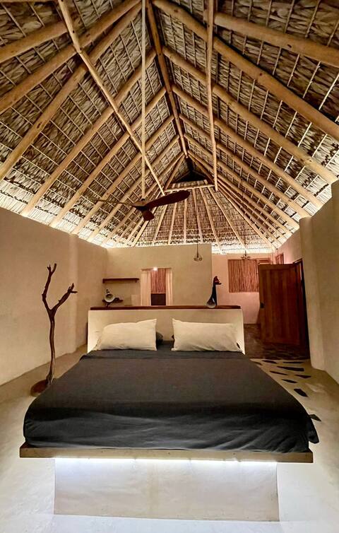 Truffle Tropical
Great view loft
