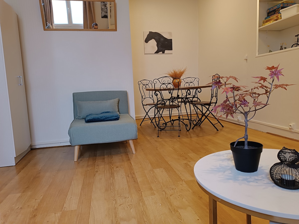 Popular Airbnb listing: Apartment near historic center in Pasteur / Saint Gervais / Mont Riboudet