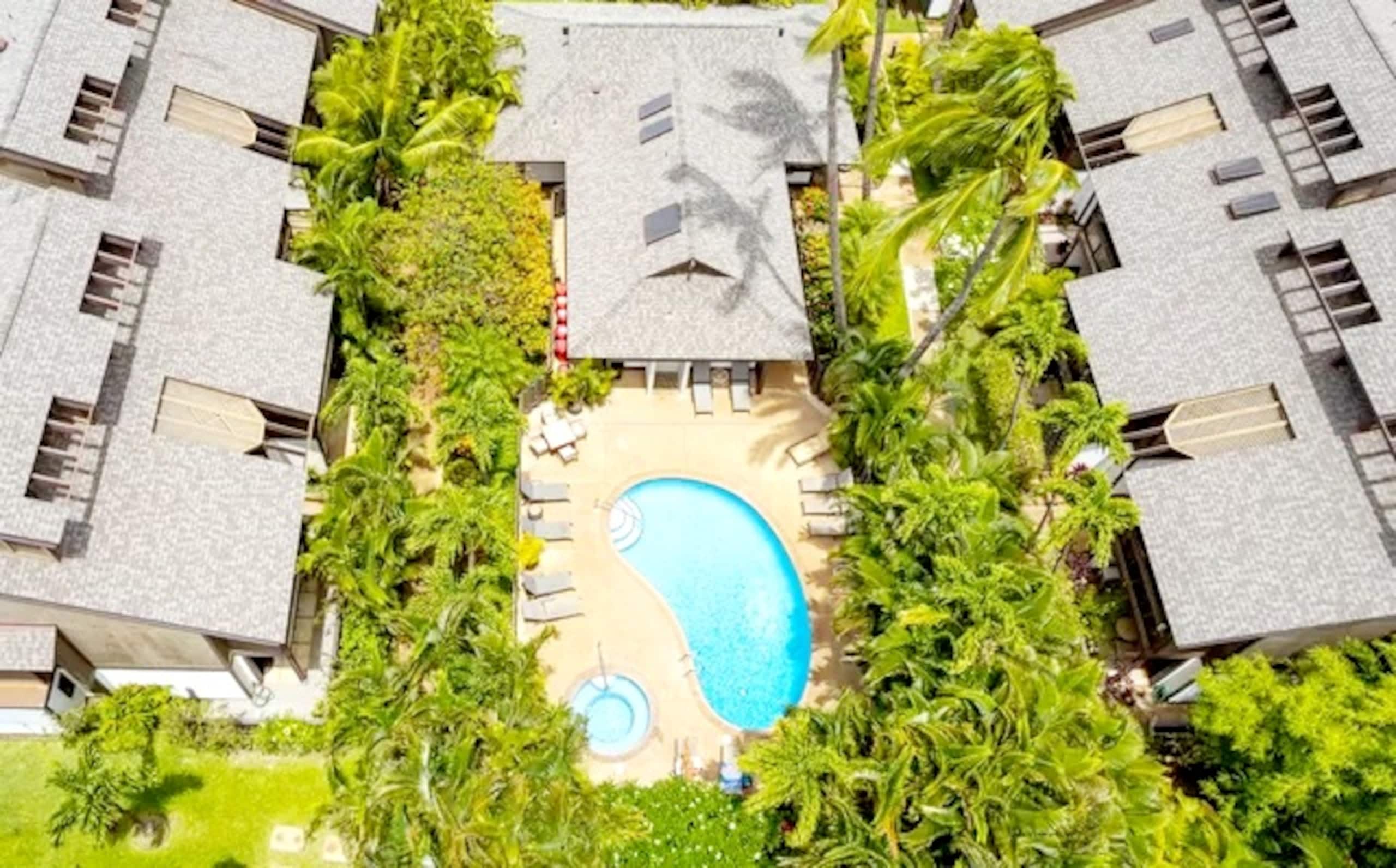 Newly Remodeled Tropical Resort - Image 15