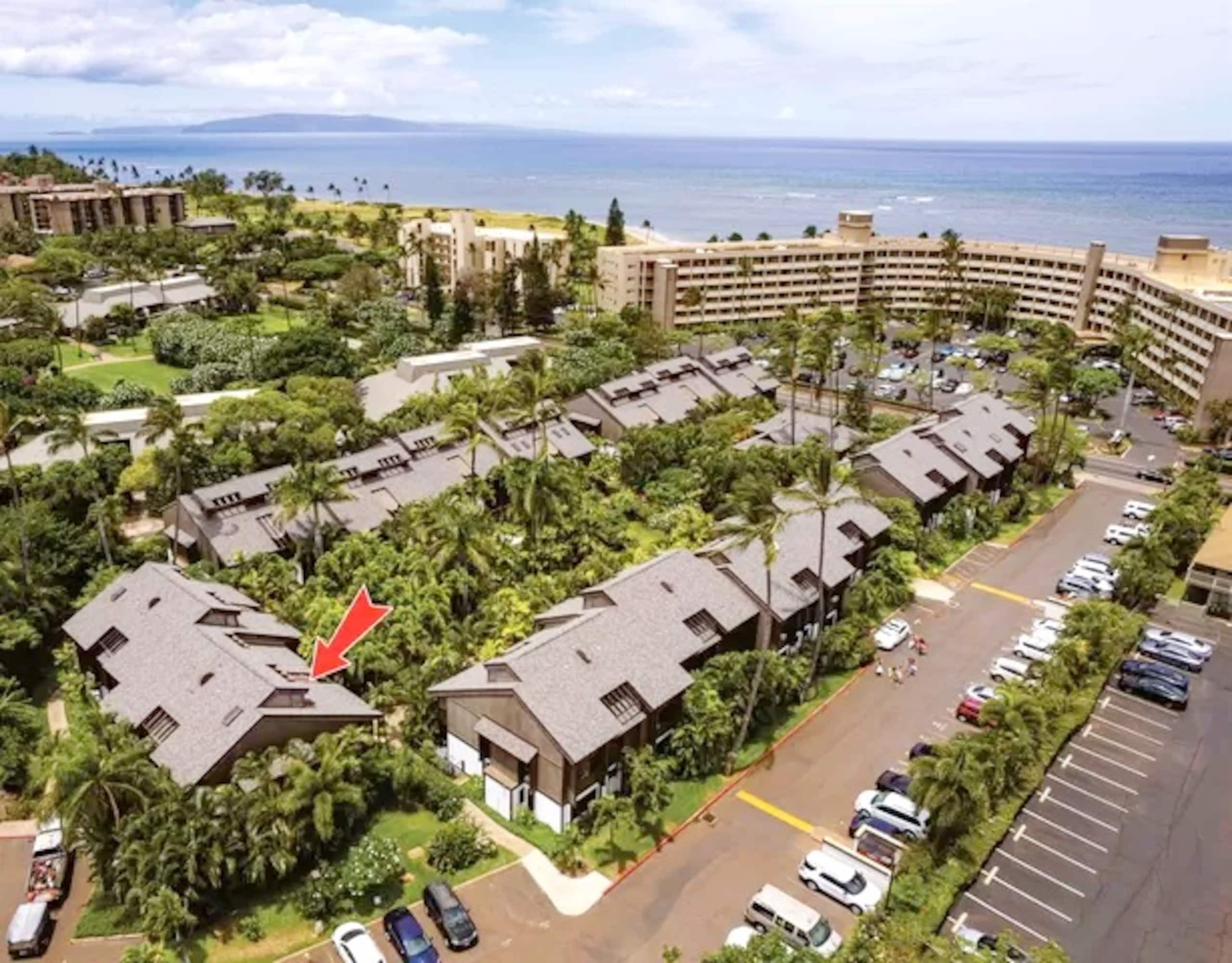 Newly Remodeled Tropical Resort - Image 17