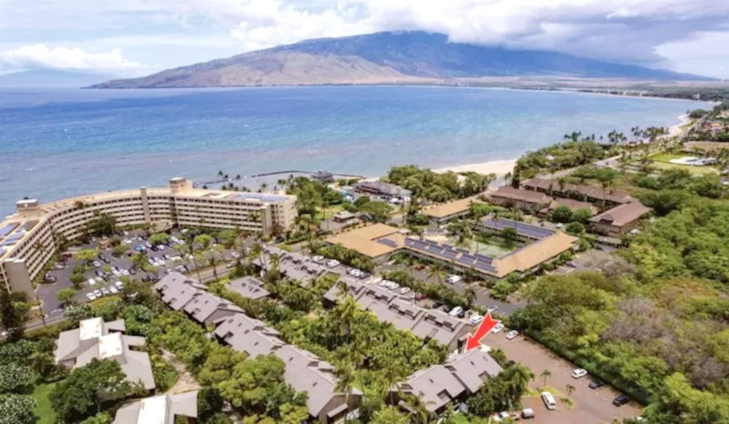 Newly Remodeled Tropical Resort - Image 16