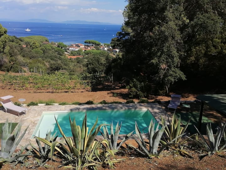 Villa Gualdo Piscina Vista Mare - Capoliveri