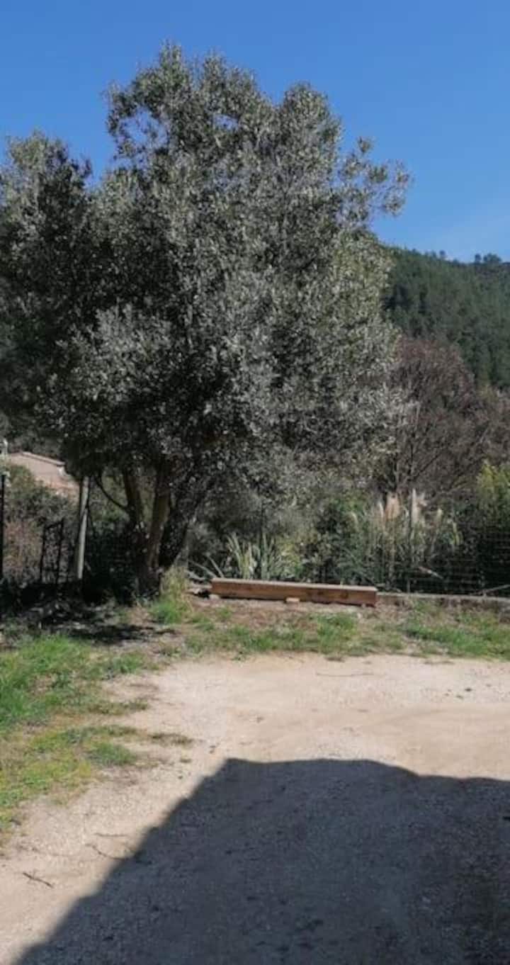 Maison à La Campagne - Cuers
