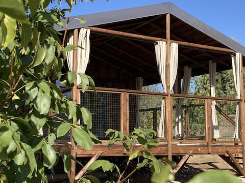 Maison en  bois familiale  au milieu des bois