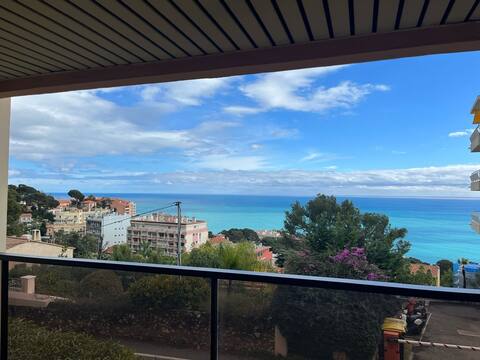 Seaview Apartment Cap D'AIL - Monaco