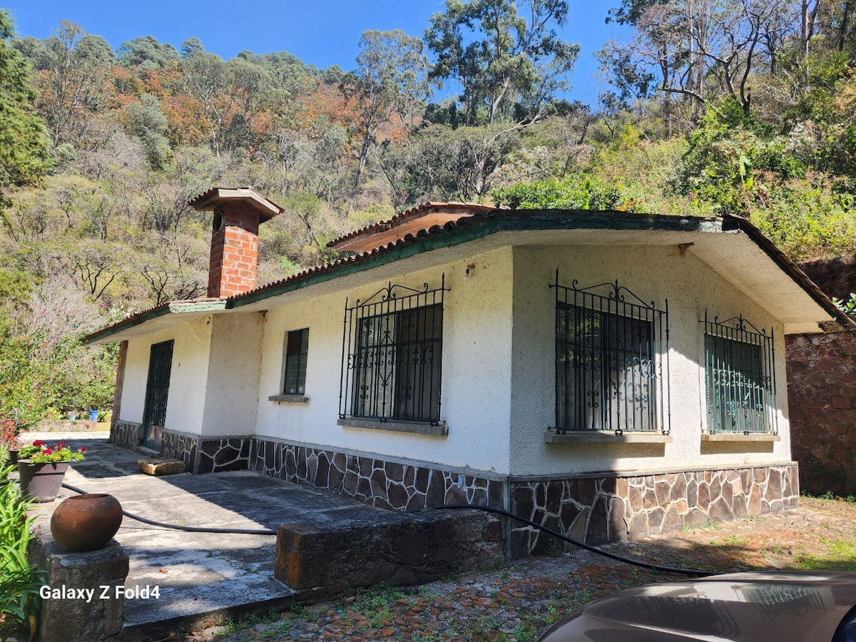 A charming cabin is surrounded by greenery, featuring a stone exterior and a tiled roof. The front porch reveals a spacious area for outdoor relaxation, while decorative iron window grilles enhance the rustic feel. Natural light enters through multiple windows, creating an inviting entryway.