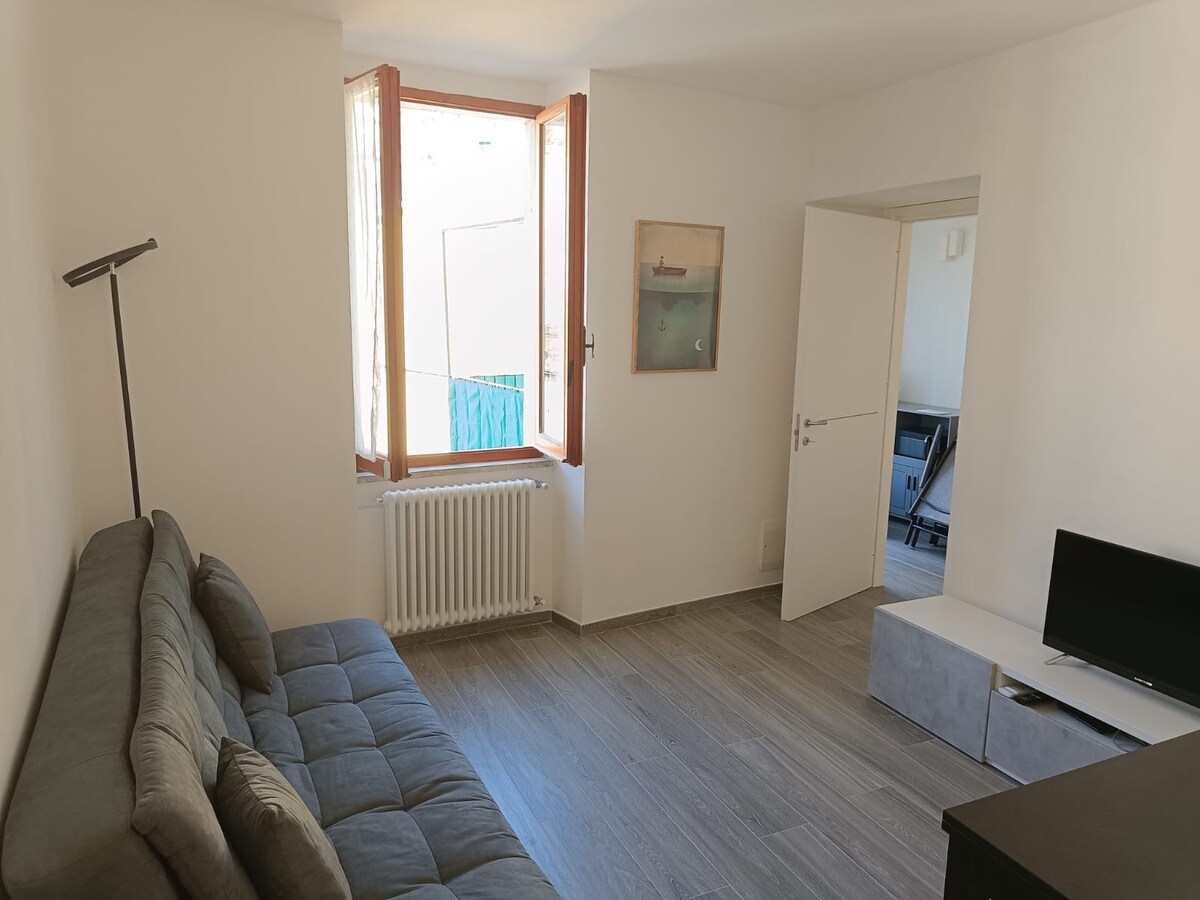 Annuncio Airbnb popolare: "Casa Olivia" apartment CITRA 011030-LT-0405 a Vernazza