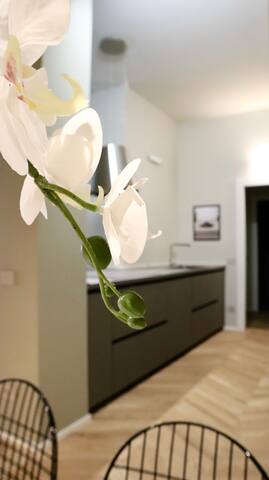 Corso Italia Design House gallery image 4