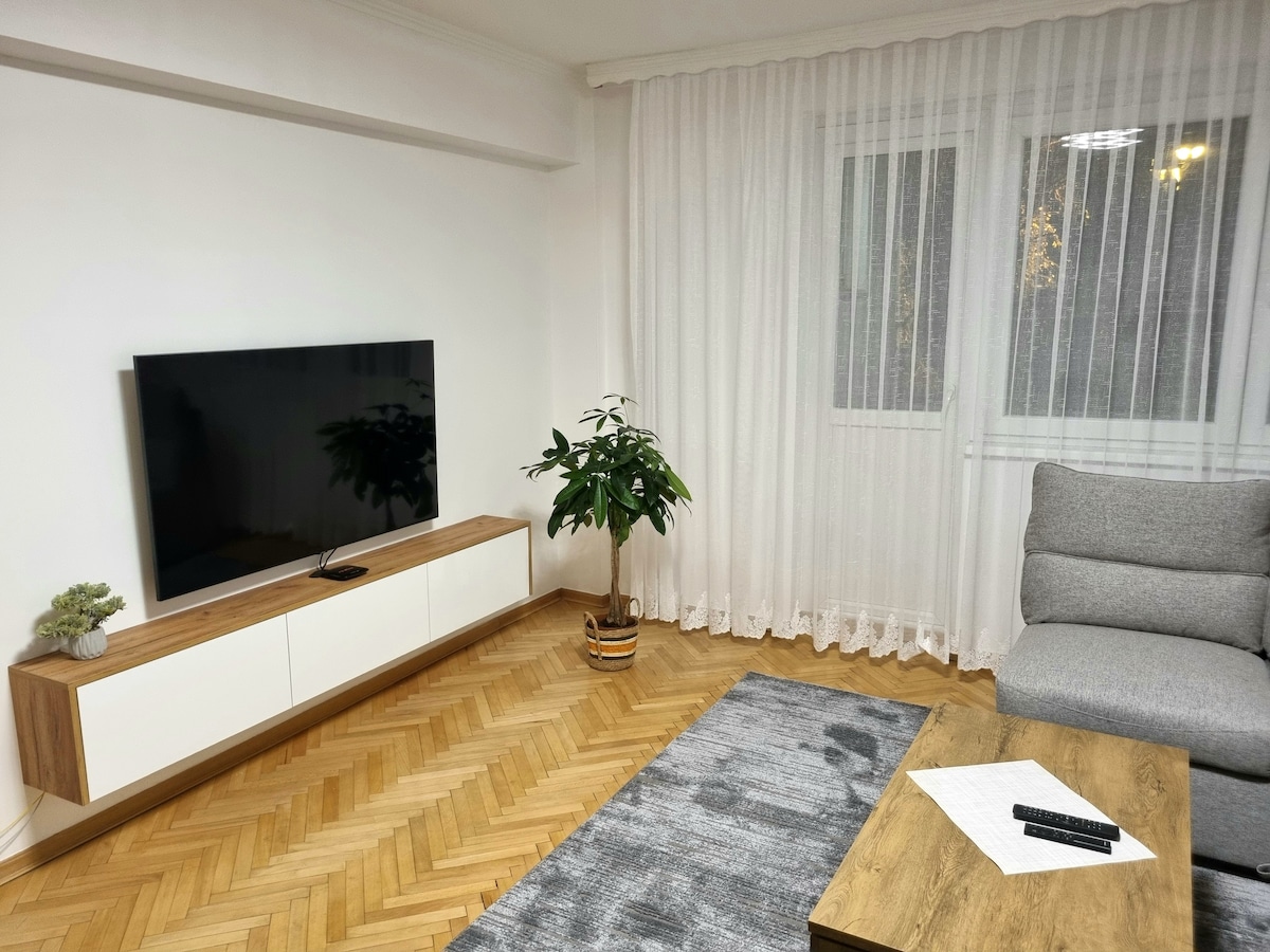 A modern living area features a large flat-screen television mounted on a wooden media console. A green plant adds a touch of nature. Light filters through sheer curtains covering a window, creating a serene atmosphere. A soft gray rug is positioned under a wooden coffee table.