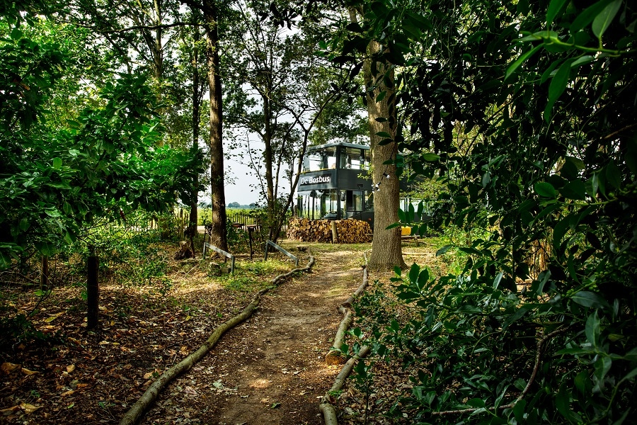 A path meanders through lush greenery, leading to a stylishly converted double-decker bus. The bus is surrounded by trees and foliage, offering a serene connection to nature. The countryside can be glimpsed in the background, contributing to the tranquil setting.