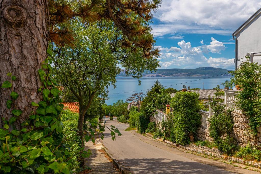 Apartman Velvet Vista 2