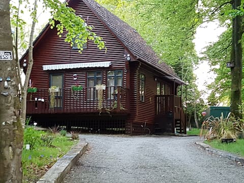 Cabin In The Woods On The Lake
