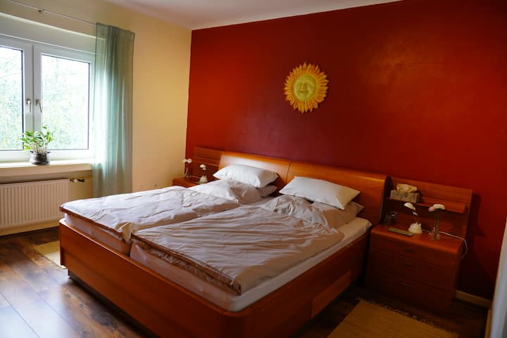 Habitación 1