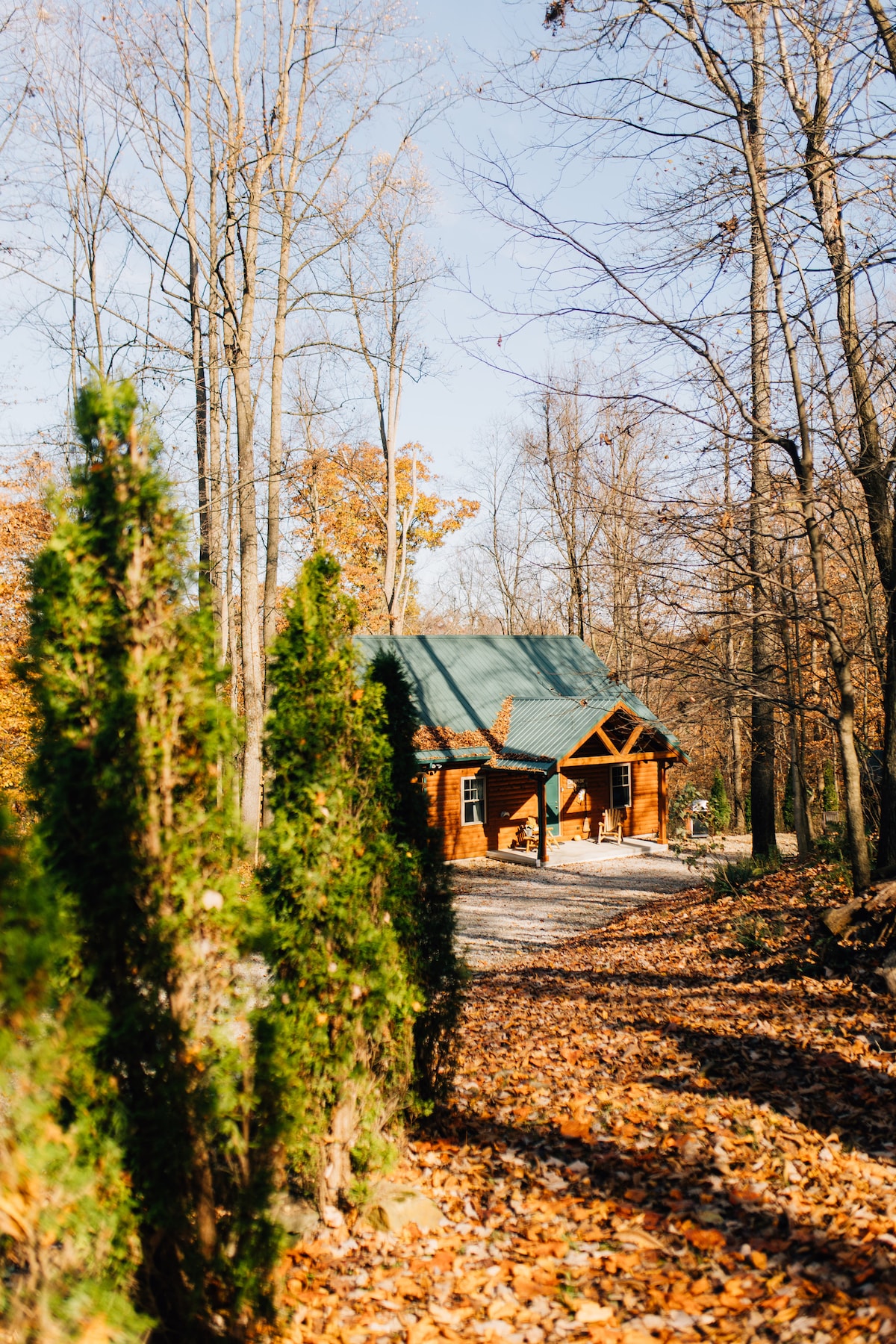 A charming cabin is surrounded by trees, set against a backdrop of autumn foliage. A stone path, lined with greenery, leads to the cabin's entrance, where the wooden structure features a welcoming porch and a sloped metal roof.