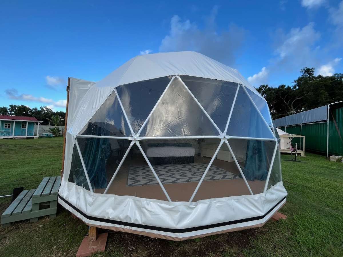 A geodesic dome tent features clear, hexagonal windows allowing for ample natural light. The surrounding grassy area provides space for relaxation. A queen bed can be seen through the windows, emphasizing the unique architecture of this cozy retreat.