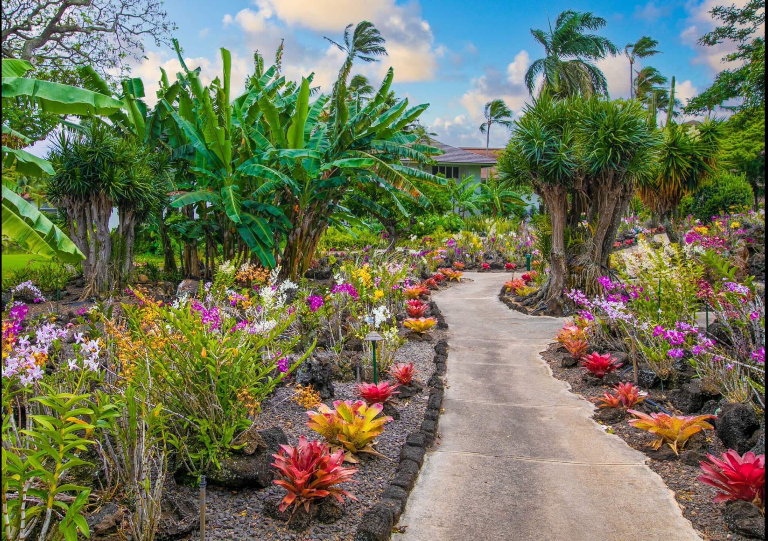 Condo in Koloa · ★4.88 · 1 bedroom · 2 beds · 1 bath - Image 11