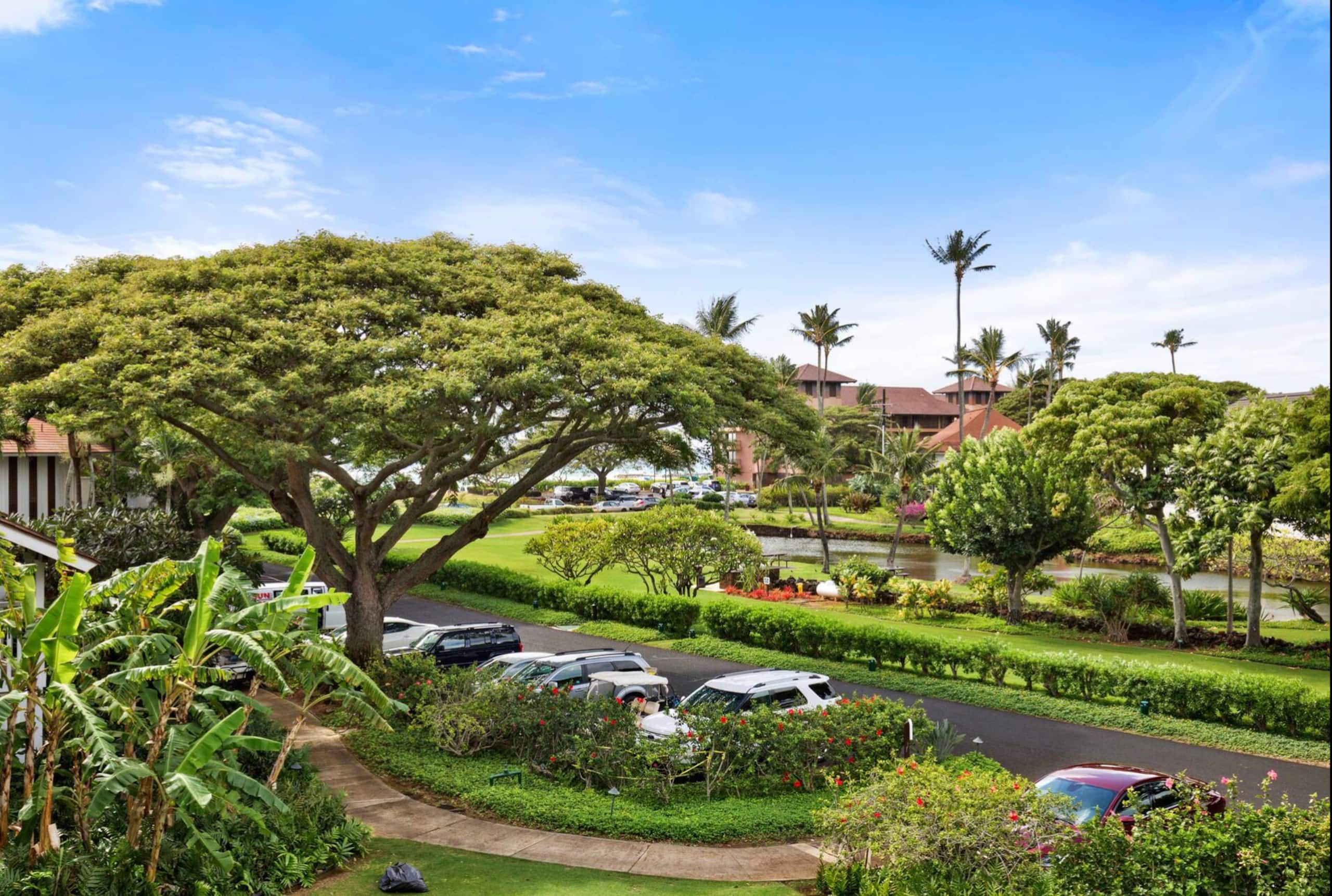 Condo in Koloa · ★4.88 · 1 bedroom · 2 beds · 1 bath - Image 12