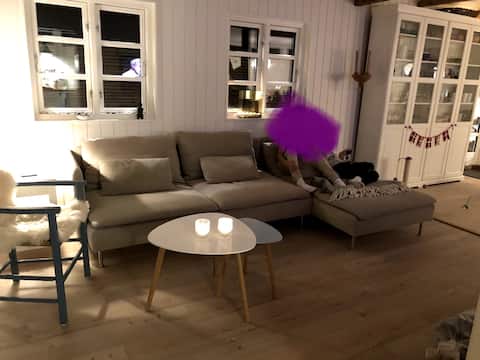 Top Airbnb: Beachfront vacation home in Nordfyns