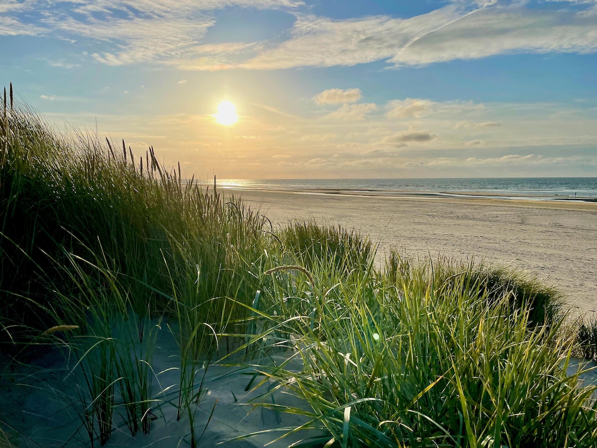 Sunlight casts a warm glow over the sandy beach, highlighting tufts of dune grass swaying gently in the breeze. The calm sea stretches into the distance under a partly cloudy sky, inviting serene moments along the shoreline.