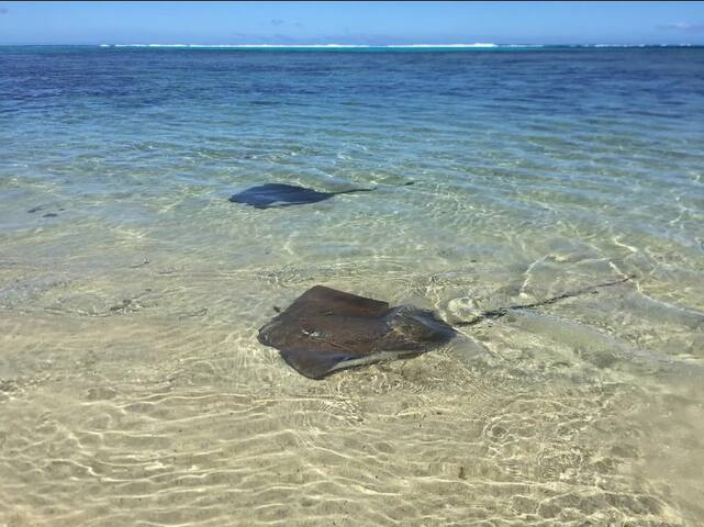 Tahiti Lodge Manager managed Airbnb listing 3