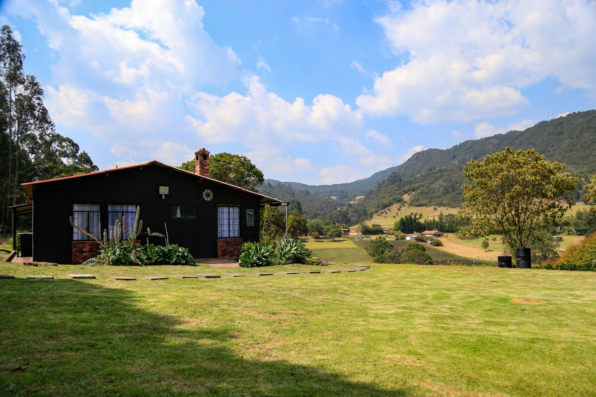 A spacious black house is set against a backdrop of green mountainous terrain and blue sky, with scattered clouds. The building features large windows, allowing natural light to fill the interior. Surrounding a dedicated lawn, various plants add a touch of greenery.