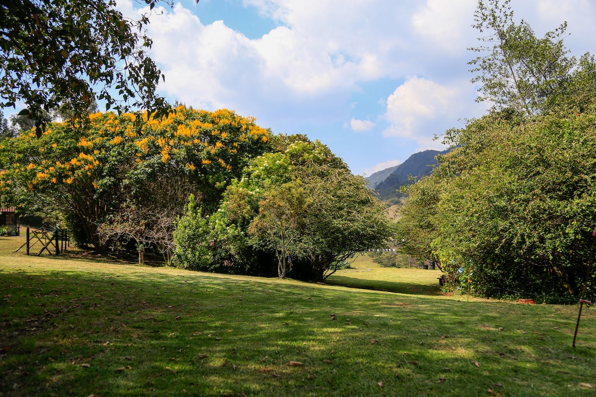 A spacious green area is surrounded by lush trees with vibrant yellow flowers. The landscape features gentle slopes leading towards distant mountains under a partly cloudy sky, creating an inviting and tranquil setting for outdoor activities.