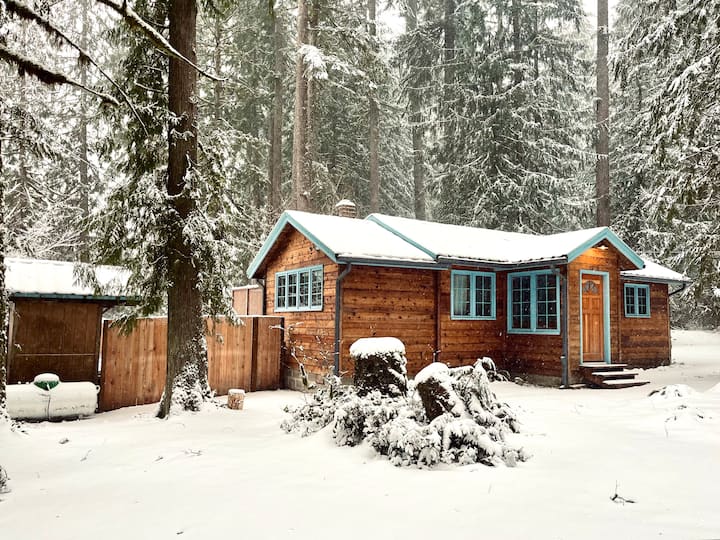 Mt Hood Hot Tub Haven, WiFi, 2 BR/1BA Cabins for Rent in Rhododendron