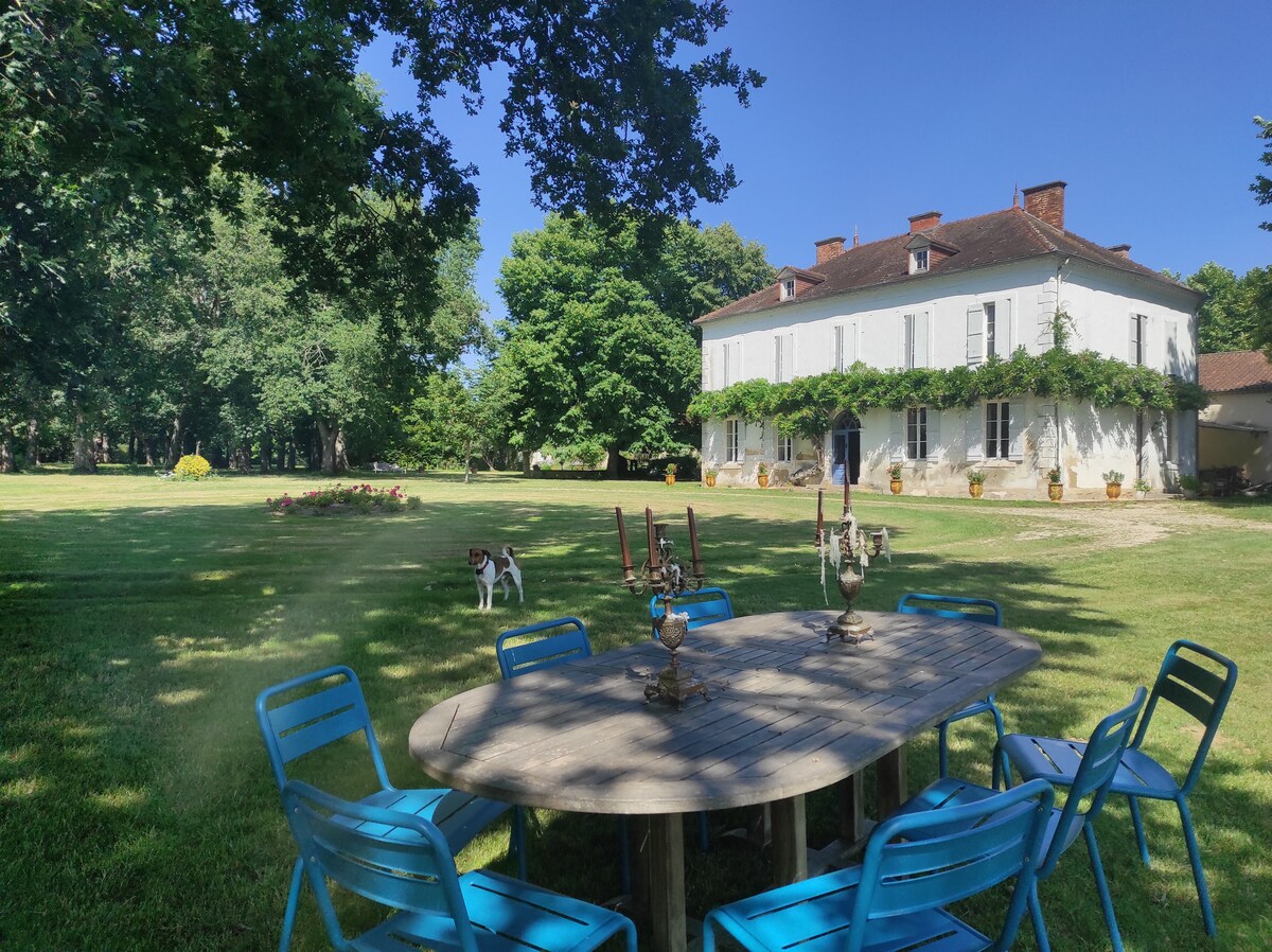 A spacious outdoor area features a large wooden table surrounded by blue chairs. In the background, a charming house is partially obscured by trees. A grassy lawn extends towards the house, with ornamental planters visible, and a dog can be seen in the distance.