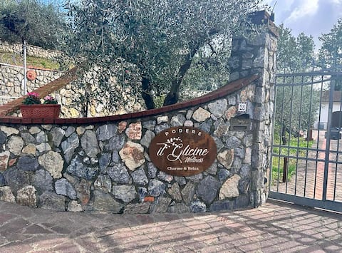 Podere il Glicine with pool
