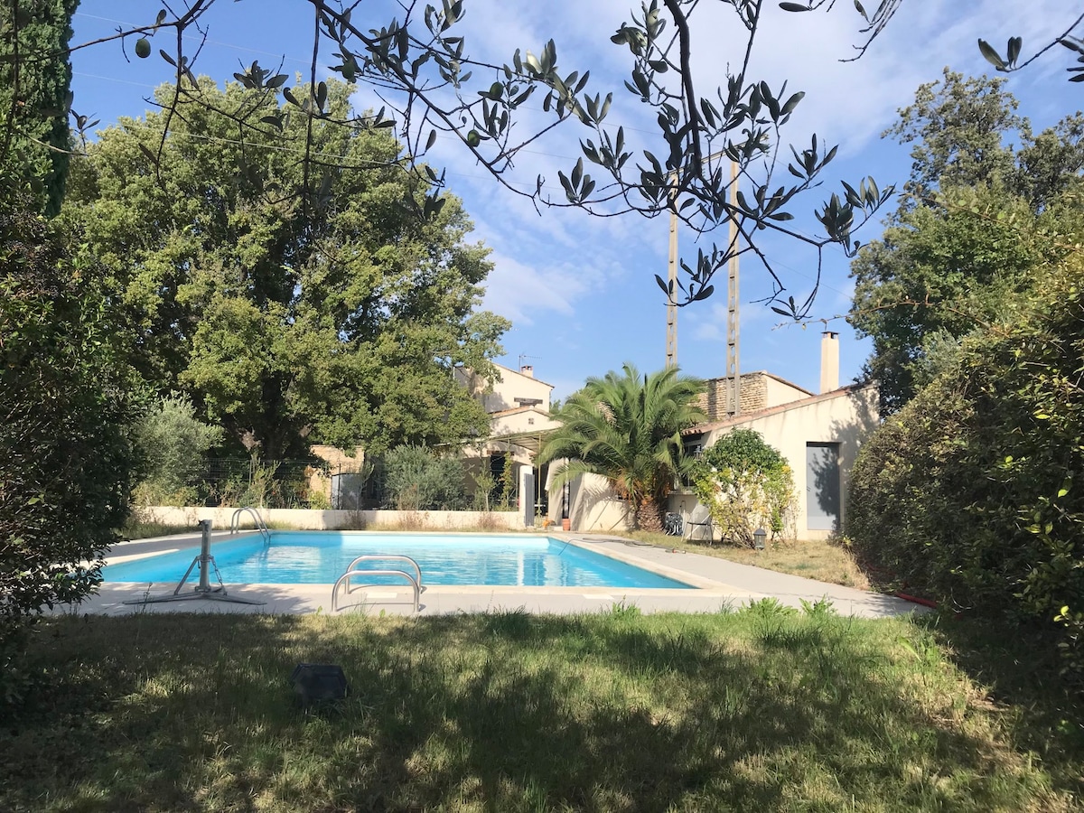 A spacious outdoor area features a large swimming pool surrounded by greenery. Lush trees and bushes frame the scene, while the distant building adds context. Sunlight dapples the water, highlighting the inviting swimming environment.