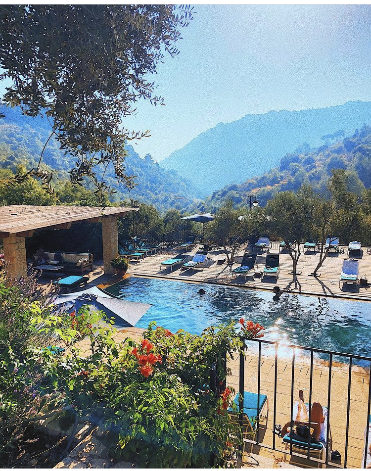 A serene outdoor area features a large swimming pool surrounded by lounge chairs and greenery. The view of the distant mountains creates a calming backdrop, while flowering plants add a touch of color. The sun shines brightly, enhancing the peaceful atmosphere.