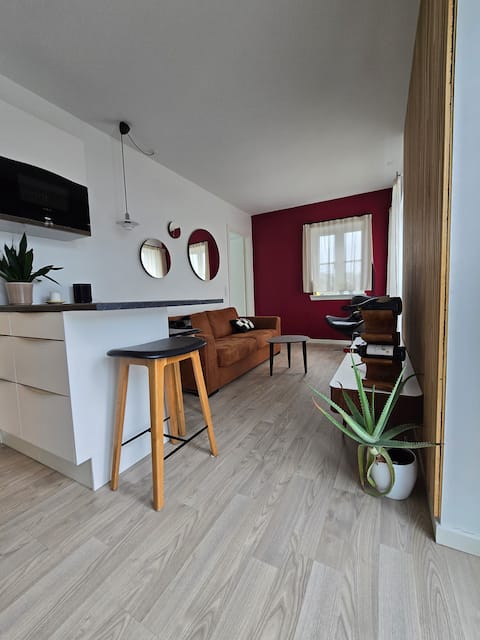 Cozy apartment in the city center